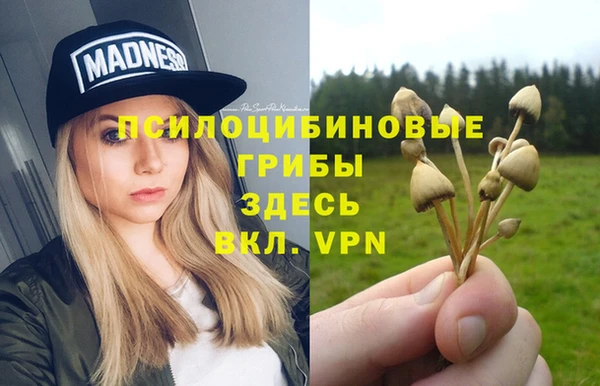 винт Богородск