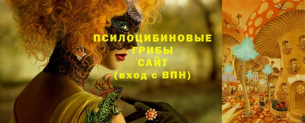 тгк Аркадак