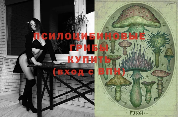 ПСИЛОЦИБИНОВЫЕ ГРИБЫ Алексеевка