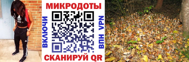 мега tor  Гвардейск  Галлюциногенные грибы Magic Shrooms 